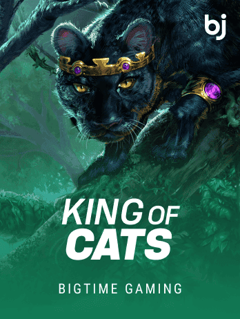 King of Cats thumbnail